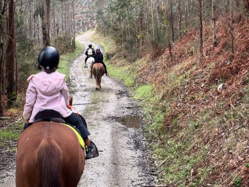 https://www.facebook.com/p/Flor-do-Toxo-Rutas-a-Cabalo-61576664370253/ Flor do toxo contrata tus rutas a caballo