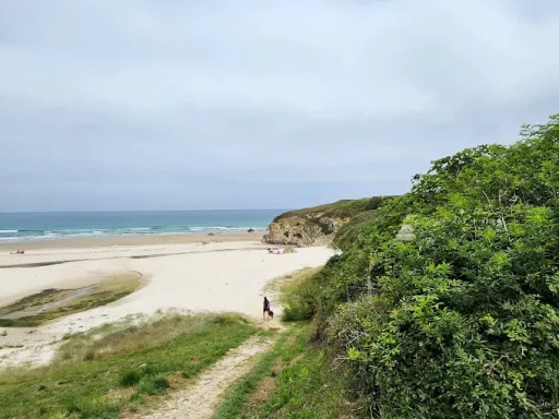 Zona canina de Lóngara https://g.co/kgs/NrrGhME