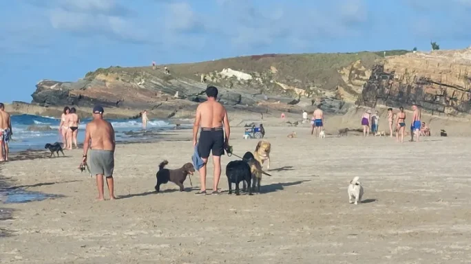 zona canina de punta corveira